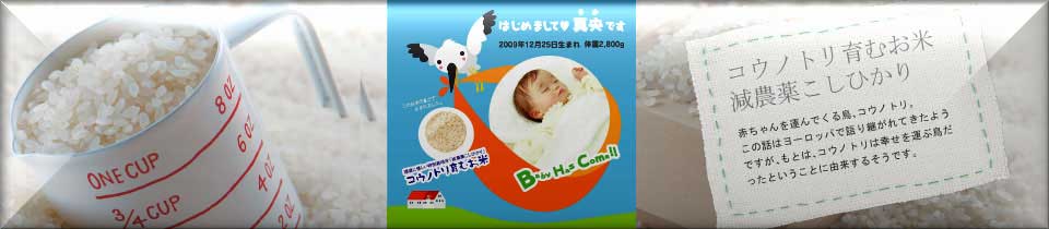 内祝いお祝返し好適品：コウノトリ育むお米　H●対応容量：2,000g～2,700g