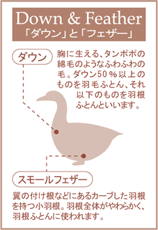 ユニバーサル風呂敷のご使用方法