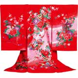 女祝着 椿(鞠に水鳥)