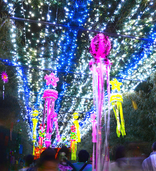 20140707-01.jpg