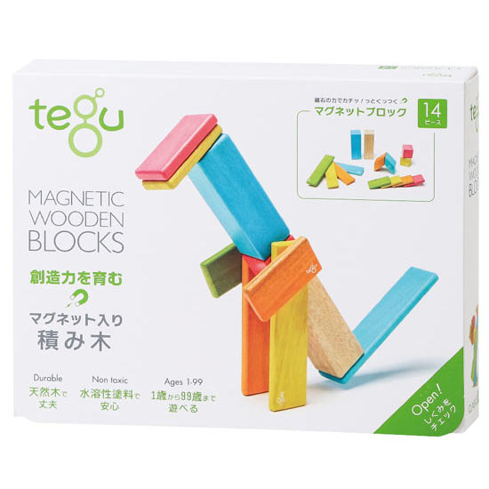 tegu マグネットブロック　ティント (14ピース）3