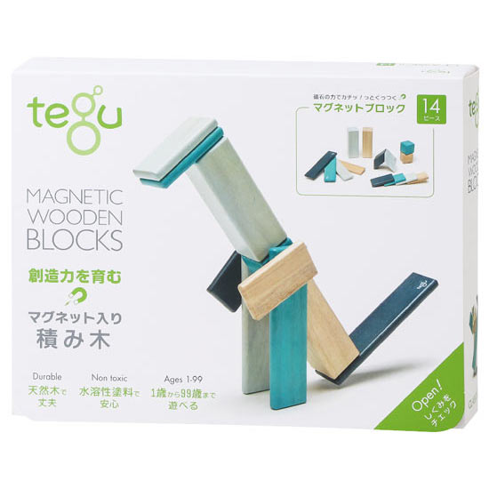 tegu マグネットブロック　ブルース (14ピース）3
