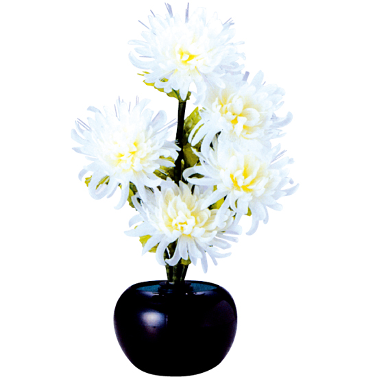 グランドルミナス 白菊の舞 高さ41cm0