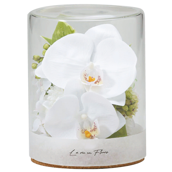 胡蝶蘭アレンジメントファレノジェム2