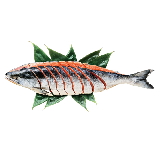：日高太平洋沖産 銀毛色新巻鮭切身Lイメージ