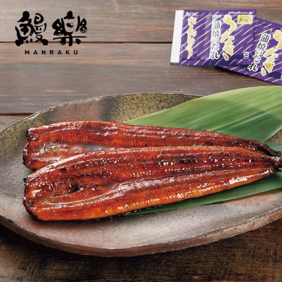 九州産 うなぎ蒲焼2尾セット