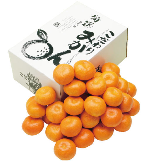 広島県産 大長みかん 4.5kg4