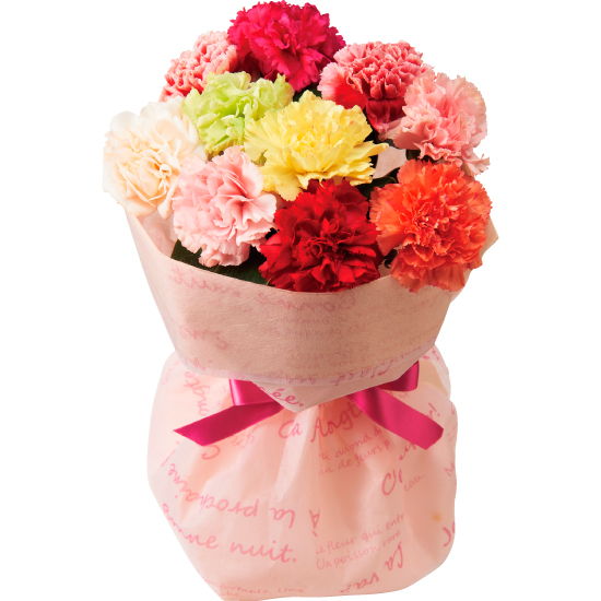 スタンディングブーケ7色カーネーション 母の日 4708円 大進オンラインショップ