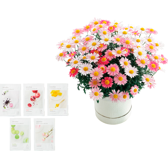 マーガレット鉢植えストロベリーホイップ イニスフリーシートマスク 4708円 大進オンラインショップ マーガレット鉢植えストロベリーホイップ イニスフリーシートマスク 4708円 大進オンラインショップ