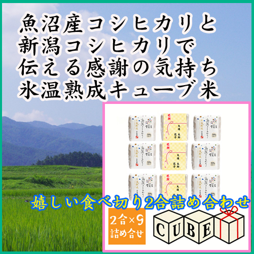 【産地直送】雪蔵仕込み氷温熟成キューブ米:9個セット【感謝】0