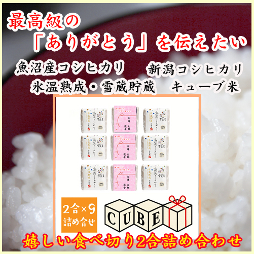 【産地直送】雪蔵仕込み氷温熟成キューブ米:9個セット【ありがとうございました】0