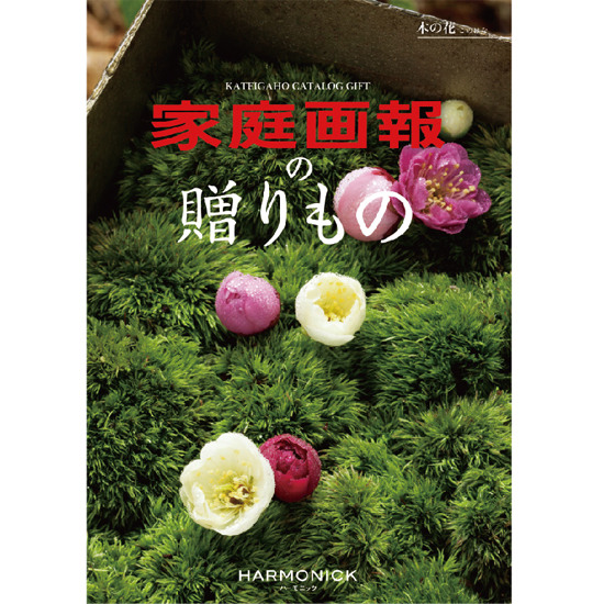 家庭画報 木の花(このはな)0