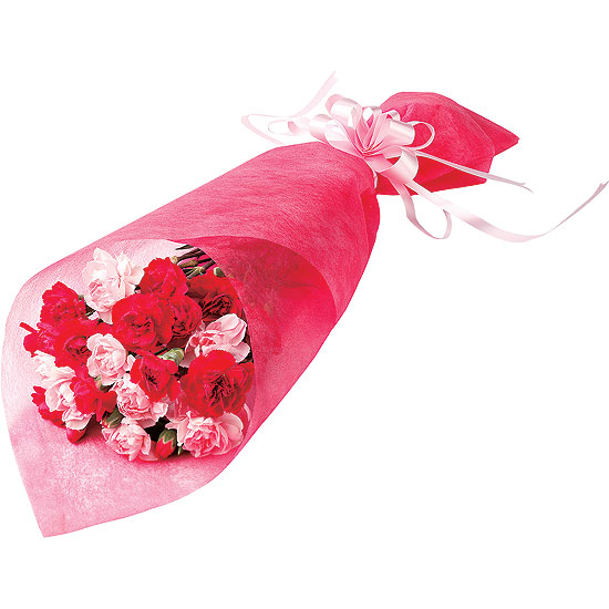 カーネーション花束と吉野の葛餅セット 3457円 大進オンラインショップ