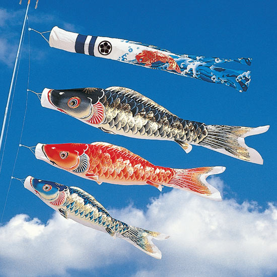 【134-1】6M 天華錦鯉オリジナル吹流付三色セット