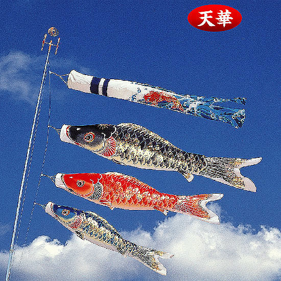 天華錦鯉オリジナル吹流付 三色セット6m 2640円 大進オンラインショップ