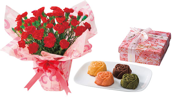 母の日限定 モンシェール バラのフィナンシェと赤カーネーション鉢植えのセット 4054円 大進オンラインショップ