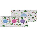 ���������ގ����Ď� �܎��َĎގ��Ďێ͎ގ؎��ƥ����Хå�