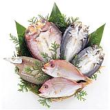 〈下関唐戸市場・林商店〉地魚一夜干し（華）