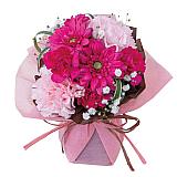 カーネーション鉢植えクレアライトピンク ロクシタン ハンドクリーム3本 申込番号 179 00 ルメール内祝いギフト